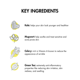 A New Leaf Cream Cleanser