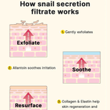 Advanced Snail 92 All In One Cream